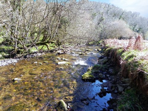 51.-Flowing-past-Shircombe-Brake-2