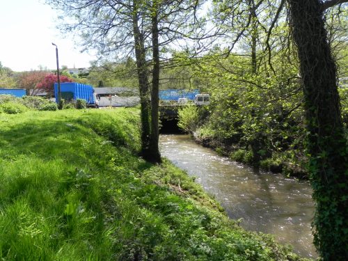 51.-Flowing-past-paper-mill