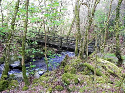 51.-Heddon-Valley-ROW-bridge-A-2