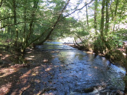 51.-Looking-downstream-from-Bulland-Ford-footbridge