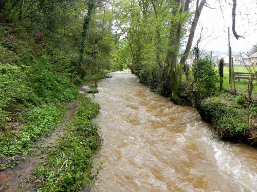 51.-Looking-upstream-from-Roadwater-Recreation-Ground-Bridge-2