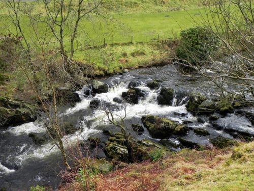 51.-Upstream-from-Cloud-Farm-2