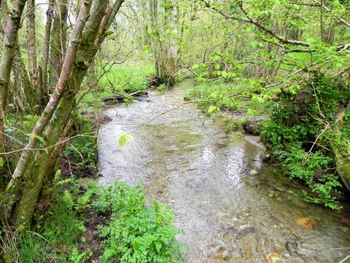 51.-Upstream-from-Pool-Farm-3
