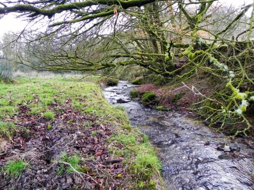 52.-Downstream-from-Riscombe-Combe-2