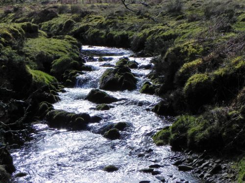 52.-Flowing-below-Furzehill-Common-2