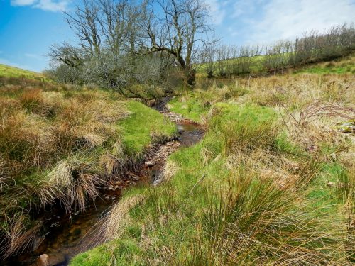 52.-Flowing-below-Twitchen-Ridge-2