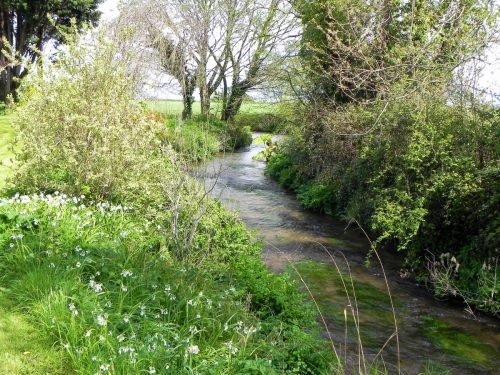 52.-Flowing-past-Riverside-Gardens-2