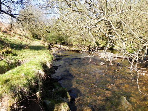 52.-Flowing-past-Shircombe-Brake-2