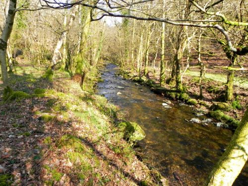 52.-Flowing-through-Combepark-2
