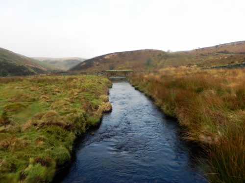 52.-Looking-upstream-from-ROW-Footbridge-3447-2