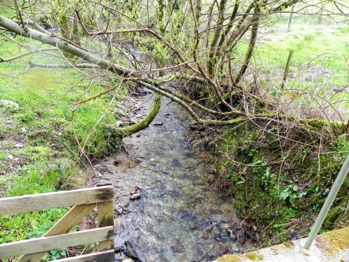 52.-Looking-upstream-from-Tinnardy-Bridge-2