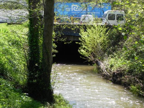 52.-Paper-Mill-Culvert-Upstream-Inlet