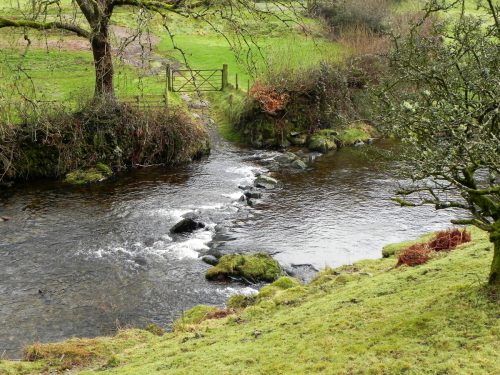 52.-Upstream-from-Cloud-Farm-2