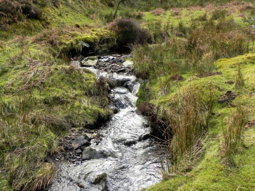 52.-Upstream-from-confluence-with-Embercombe-Water-2