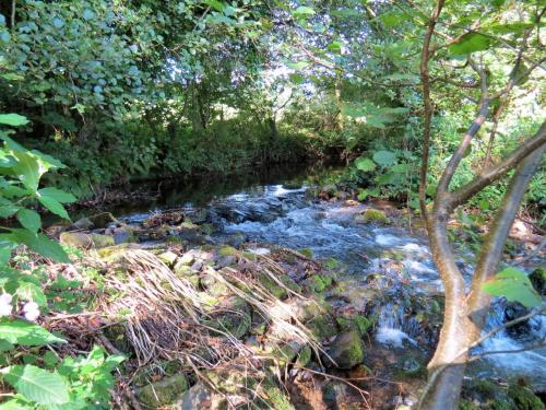 52.-Weir-upstream-ROW-Bridge-5431-2