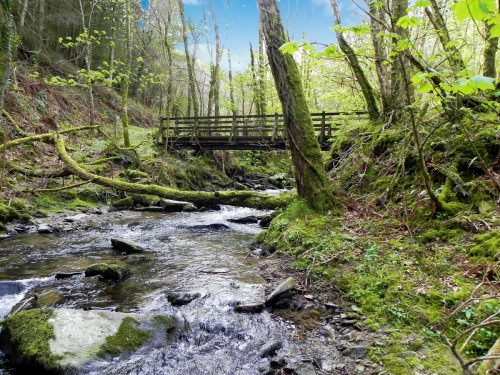 52b.-Heddon-Valley-ROW-bridge-A-2