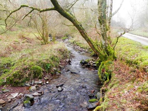 53.-Downstream-from-Aller-Combe-2