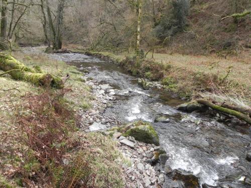 53.-Downstream-from-Prickslade-Combe