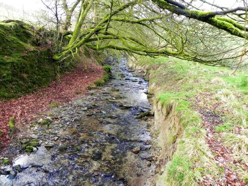 53.-Downstream-from-Riscombe-Combe-2