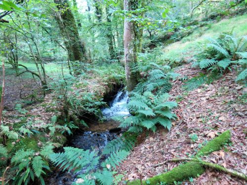 53.-Downstream-from-bridleway-DU-715-ford-2