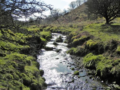 53.-Flowing-below-Furzehill-Common-2