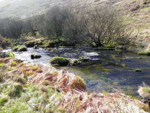 53.-Flowing-past-Cow-Castle-2