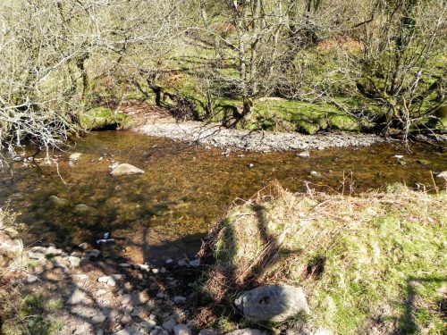 53.-Flowing-past-Shircombe-Brake-2
