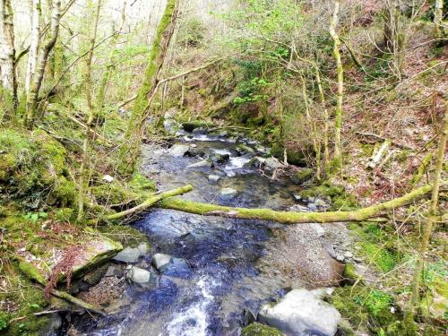 53.-Looking-downstream-from-Heddon-Valley-ROW-bridge-A-2