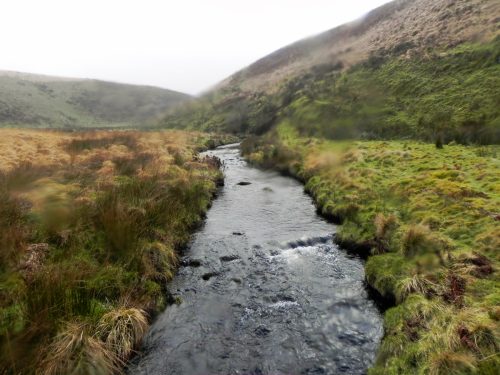 53.-Looking-downstream-from-ROW-Footbridge-3447-2
