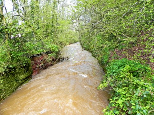 53.-Looking-downstream-from-Roadwater-Recreation-Ground-Bridge-2