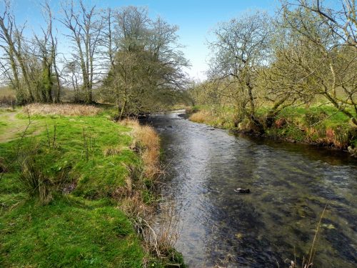 53.-Upstream-from-New-Bridge-Withypool-2
