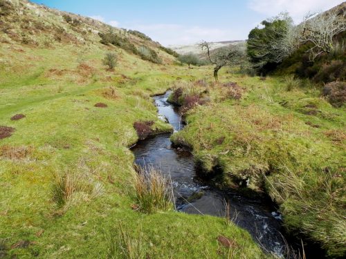 53.-Upstream-from-confluence-with-Embercombe-Water-2