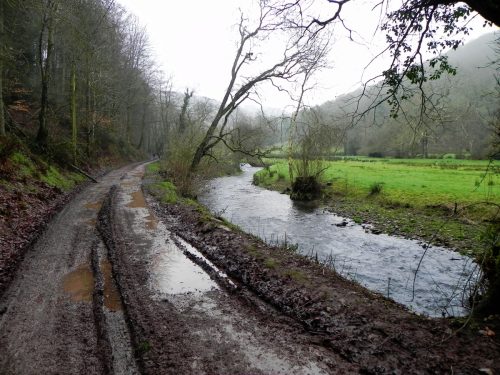 53.-View-from-Lady-Harriet-Aclands-Drive-2