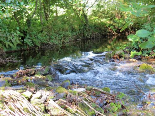 53.-Weir-upstream-ROW-Bridge-5431-2