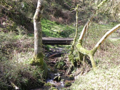 54.-Bromham-Farm-Bridge-downstream-face