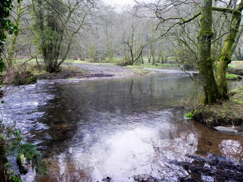54.-Downstream-from-Lower-Clammer-2