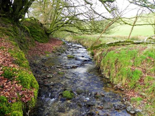 54.-Downstream-from-Riscombe-Combe-2