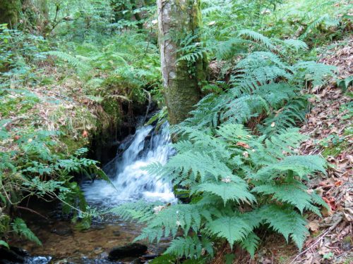 54.-Downstream-from-bridleway-DU-715-ford-2