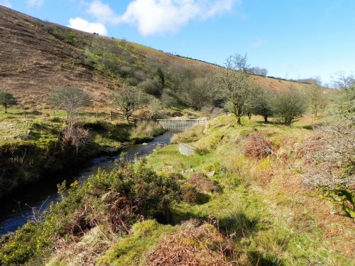 54.-Flowing-below-Furzehill-Common-2