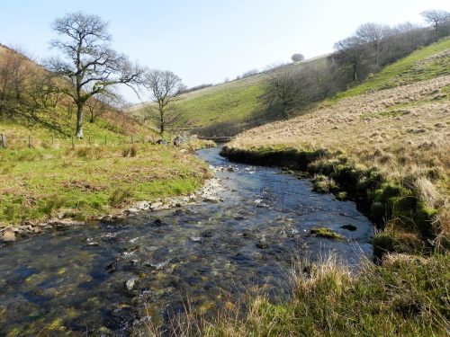 54.-Flowing-past-Cornham-Brake-2