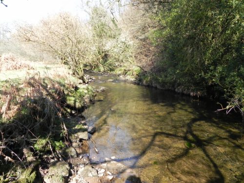 54.-Flowing-past-Shircombe-Brake