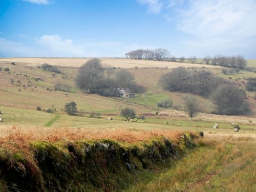 54.-Hoaroak-in-the-distance-2