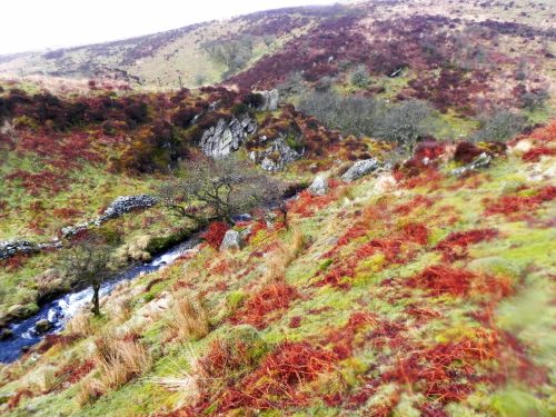 54.-Looking-down-from-Toms-Hill-Barrows-2
