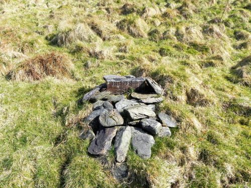 54.-Memorial-to-Buster-near-Cow-Castle-2
