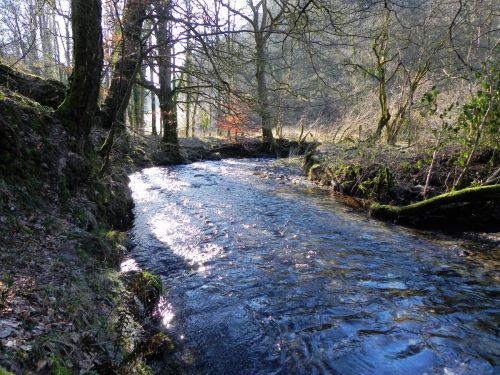 54.-Near-Joyces-Cleeve-2