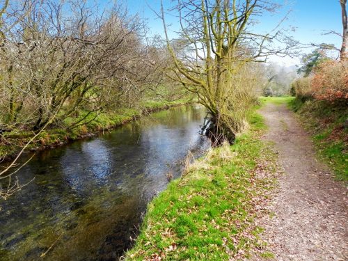 54.-Upstream-from-New-Bridge-Withypool-2