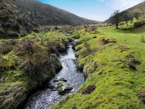 54.-Upstream-from-confluence-with-Embercombe-Water-2