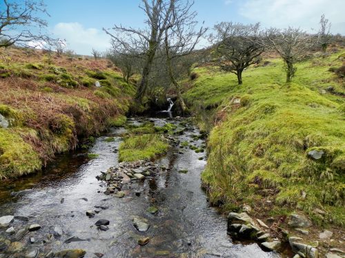 54.-Waters-from-Middle-Hill-join-2