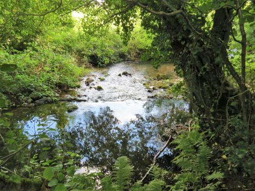 54.-Weir-upstream-ROW-Bridge-5431-2