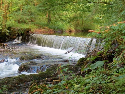 54.-Weir-upstream-from-Pare-Mill-2